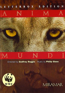 Anima Mundi